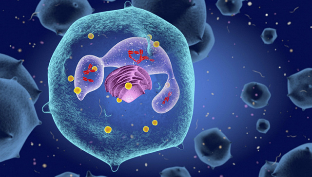 补硒能抗HPV（补硒对hpv有作用吗）-硒宝网