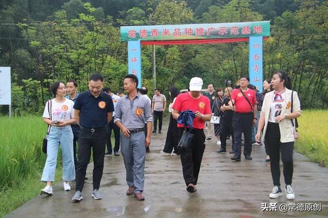 补硒协会的会长(中国营养学会建议补硒量)-硒宝网