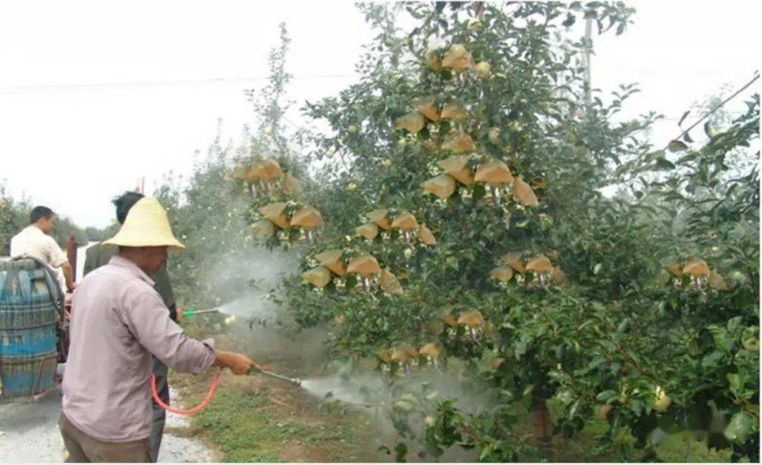 尿素高能补硒吗（尿素高少吃）-硒宝网