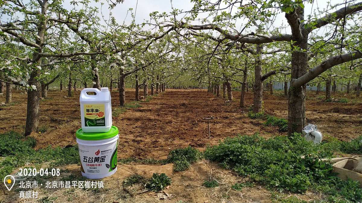 尿素高能补硒吗（尿素高少吃）-硒宝网