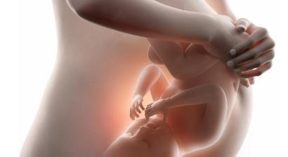 孕早期补硒食物(孕早期补食物硒含量多少)-硒宝网