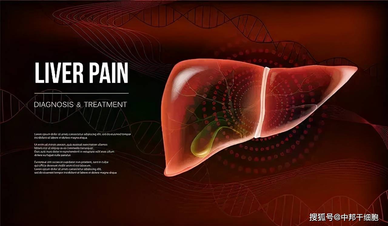 补硒对身体好吗(补硒什么好)-硒宝网