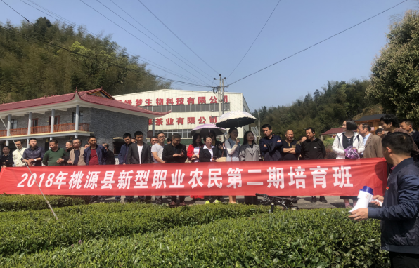 补硒协会的会长(中国补硒协会会长)-硒宝网