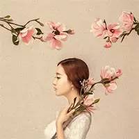 孕妇吃什么是补铁的(孕妇吃补铁是补什么的)-硒宝网