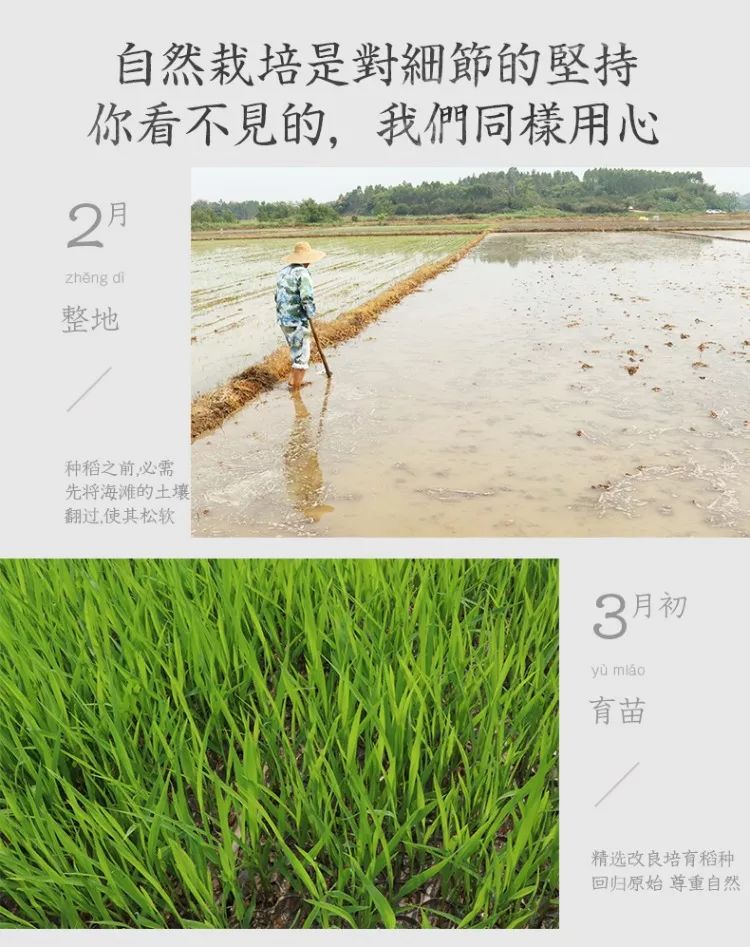 补硒减肥明显吗(硒有助于减肥吗)-硒宝网