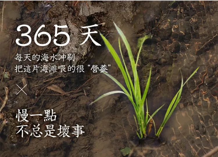 补硒减肥明显吗(硒有助于减肥吗)-硒宝网