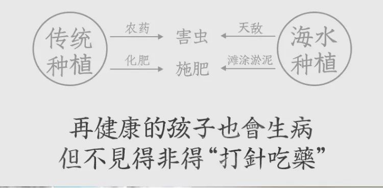 补硒减肥明显吗(硒有助于减肥吗)-硒宝网