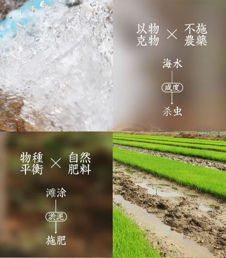 补硒减肥明显吗(硒有助于减肥吗)-硒宝网