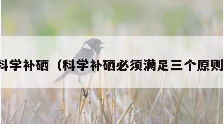 补硒的水果食物（哪些水果补硒）-硒宝网