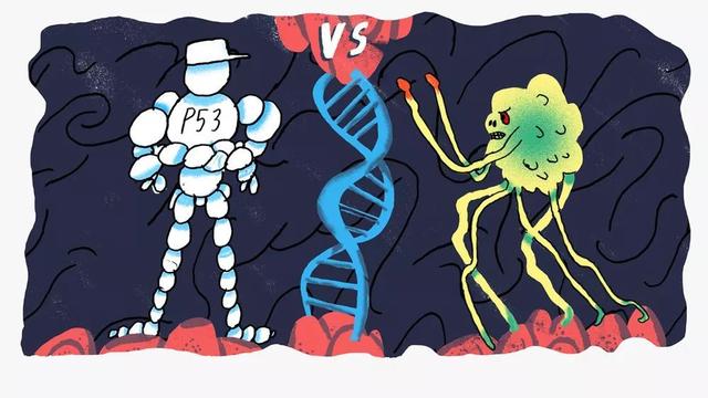 如何选购硒补剂(补硒产品怎么选择)-硒宝网