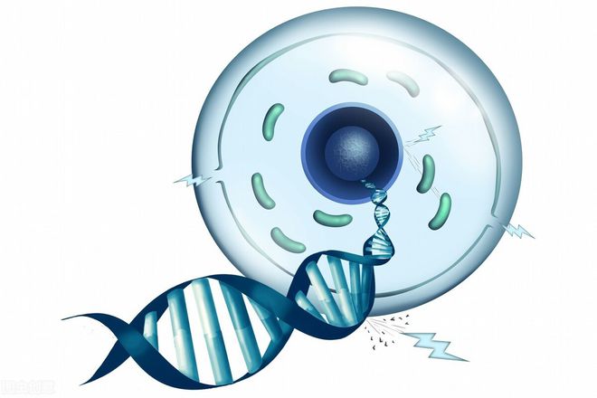 健身有必要补硒（必要补健身硒有什么作用）-硒宝网
