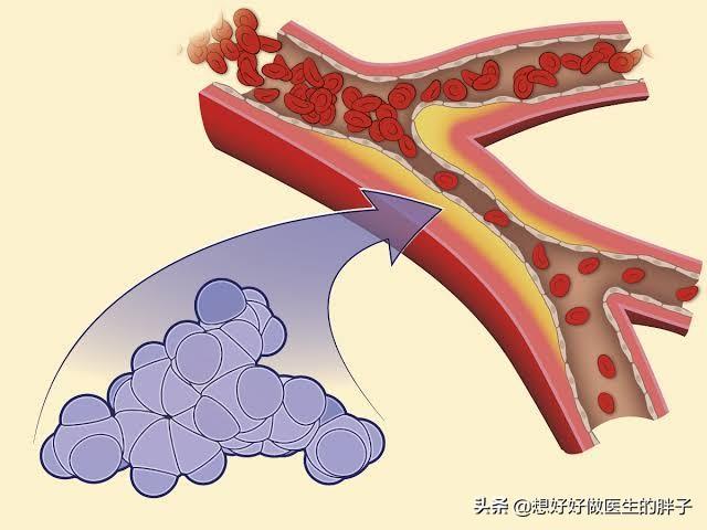喝水补硒科学吗(补硒的水)-硒宝网