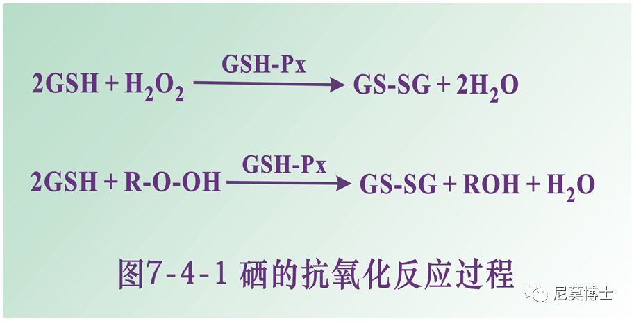 如何选购硒补剂（补硒的产品买什么最好）-硒宝网