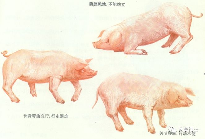 如何选购硒补剂（补硒的产品买什么最好）-硒宝网