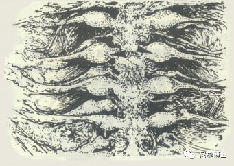 如何选购硒补剂（补硒的产品买什么最好）-硒宝网