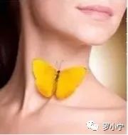 甲状腺全切补硒(甲状腺切除后补硒行吗)-硒宝网