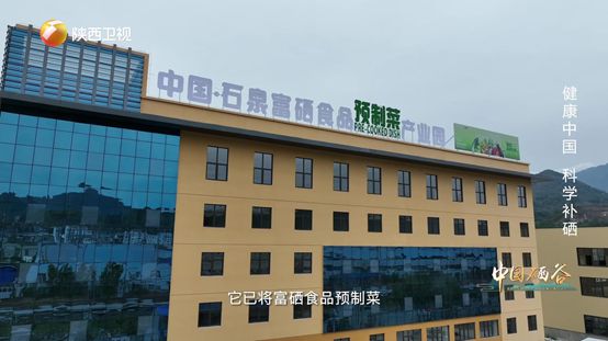 补硒是国家战略(国家补硒的口号宣传)-硒宝网