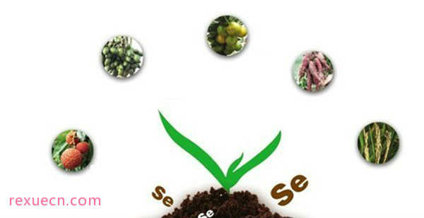 最好的补硒药品(补硒药吃多长时间为好)-硒宝网