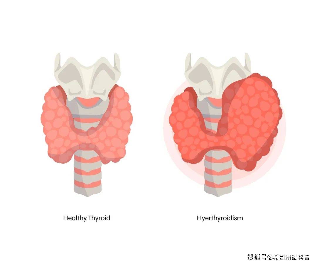 各种疾病补硒量(不同人群补硒用量参考表)-硒宝网