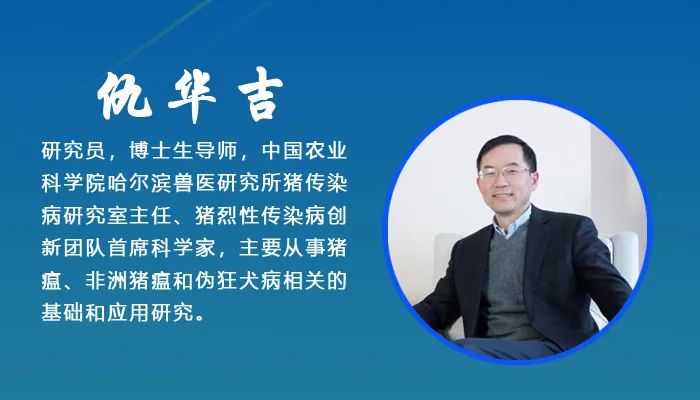 母猪需要补硒吗（母猪补硒什么时候补最好）-硒宝网