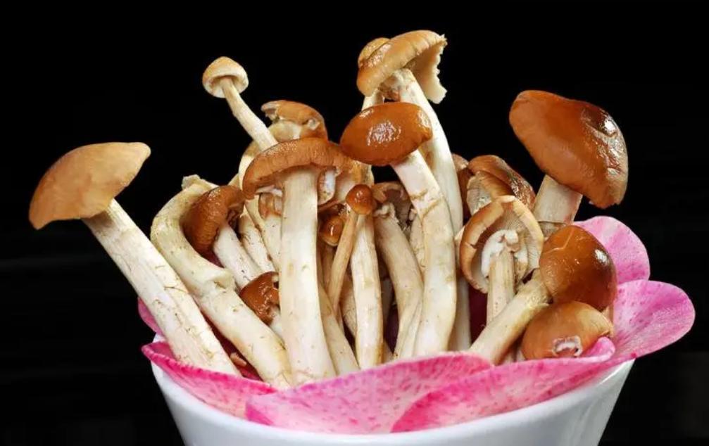 姨妈在能吃补硒（大姨妈可以吃硒吗）-硒宝网