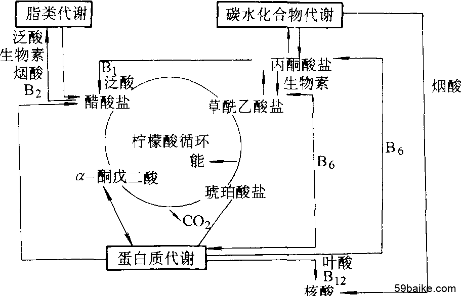 补硒后嘴唇发红(嘴唇发红缺什么维生素)-硒宝网