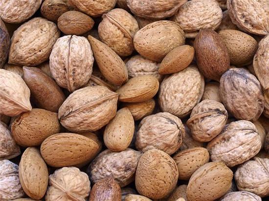 什么东西补锌(食物里补锌)-硒宝网