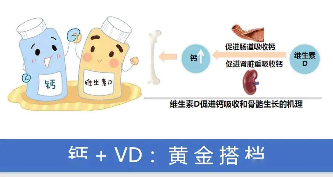 钙片补钙吗（补钙钙片什么时候吃最好）-硒宝网