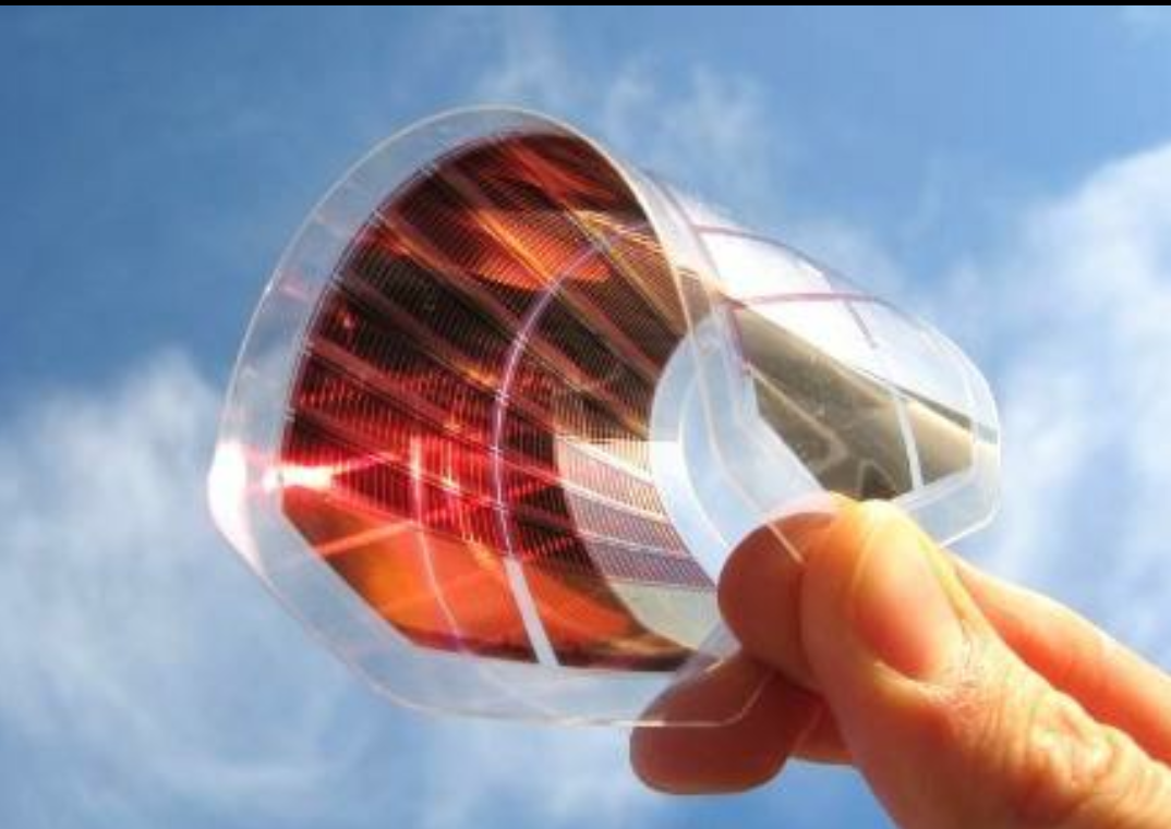 补硒的水果蔬菜(蔬菜水果补硒有哪些)-硒宝网