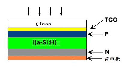补硒的水果蔬菜(蔬菜水果补硒有哪些)-硒宝网