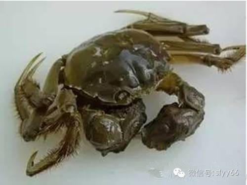 癌病人如何补硒(癌症病人补硒越补越弱)-硒宝网