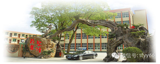 癌病人如何补硒(癌症病人补硒越补越弱)-硒宝网