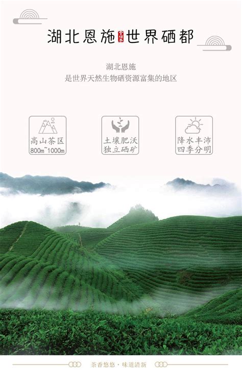 什么茶补硒最好(硒茶的作用和补硒的好处)-硒宝网