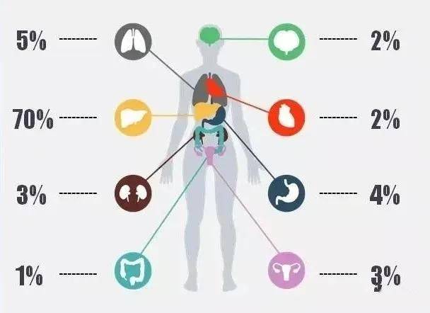 需要补硒元素吗（补元素需要硒含量吗）-硒宝网