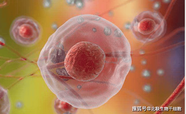 酵母补硒的功效(酵母硒有副作用吗)-硒宝网