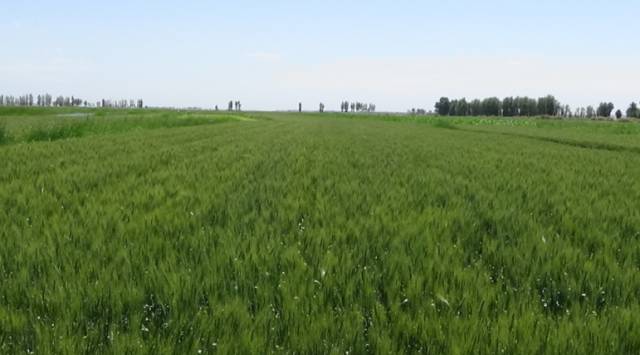 广西有必要补硒(补硒的必要性)-硒宝网