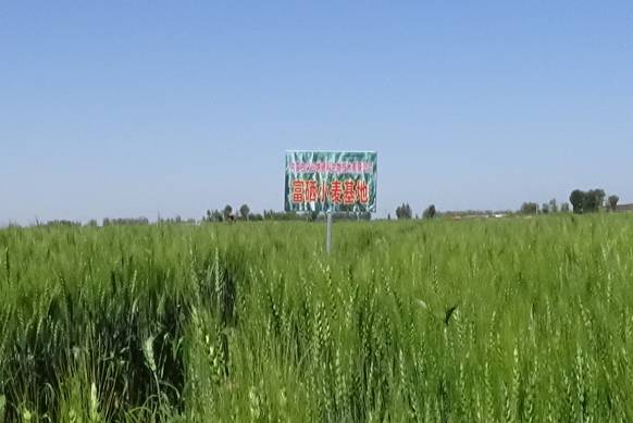 广西有必要补硒(补硒的必要性)-硒宝网