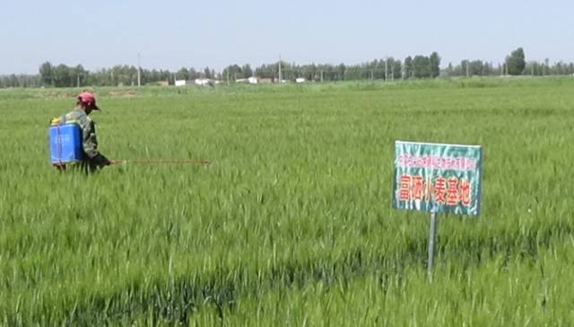 广西有必要补硒(补硒的必要性)-硒宝网