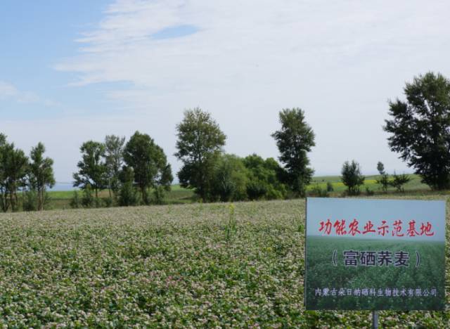 广西有必要补硒(补硒的必要性)-硒宝网