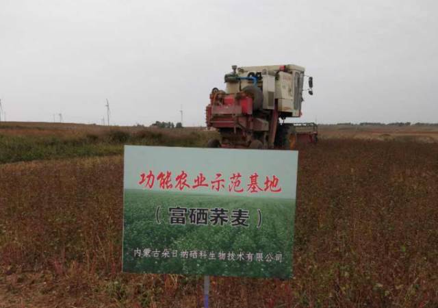 广西有必要补硒(补硒的必要性)-硒宝网