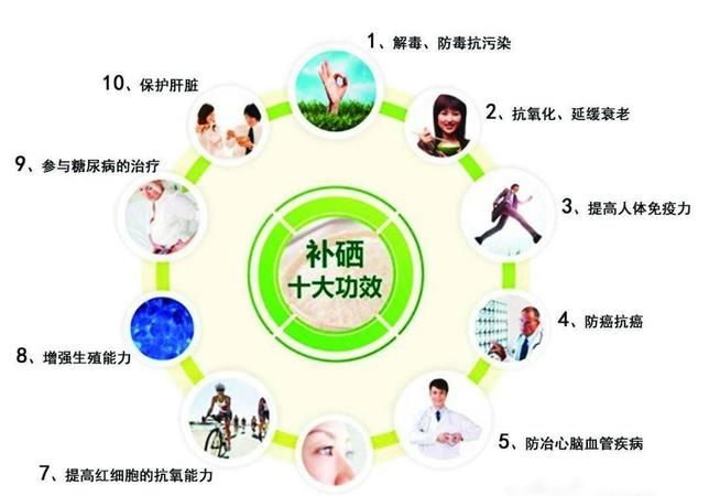 全民补硒日由来(由来全民补硒是什么)-硒宝网