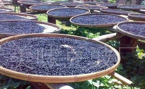 黑豆煮粥补硒吗（黑豆营养粥）-硒宝网