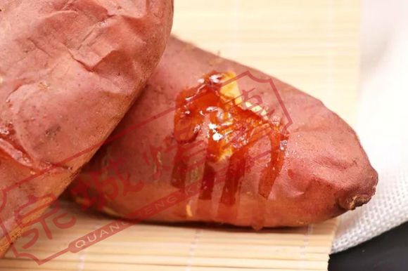 猫咪需要补硒吗(猫需要补充)-硒宝网