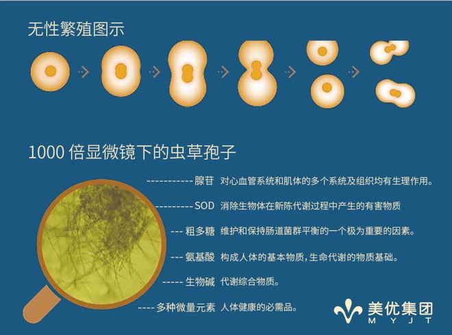 补硒降血压血糖（补硒降血压吗）-硒宝网