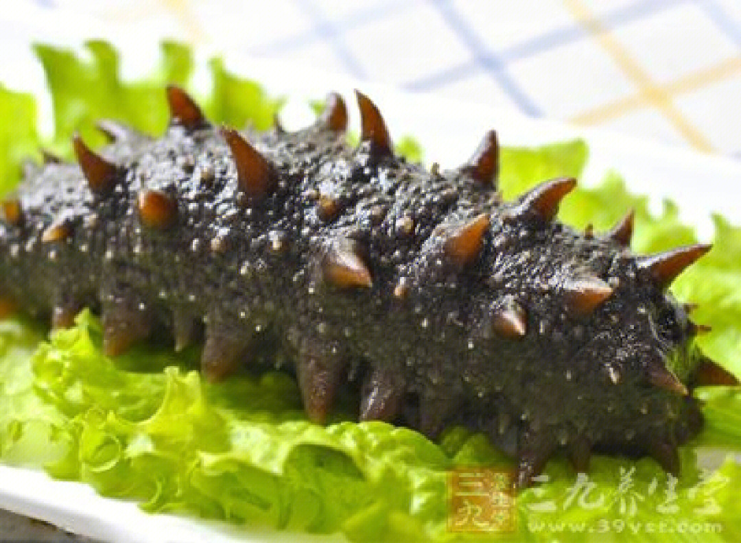 帕金森能补硒吗(能补帕金森硒片吗)-硒宝网