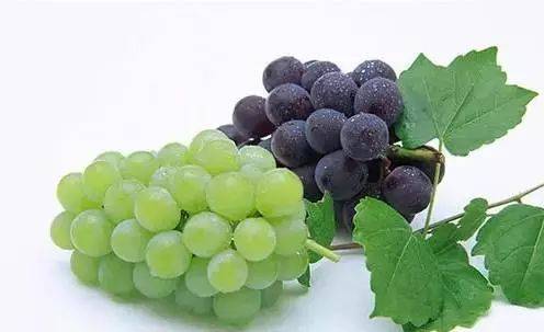 肝不好补什么硒（补硒肝脏）-硒宝网