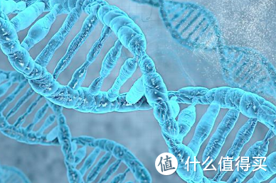 鸡蛋补钙补硒吗(鸡蛋补硒吗)-硒宝网