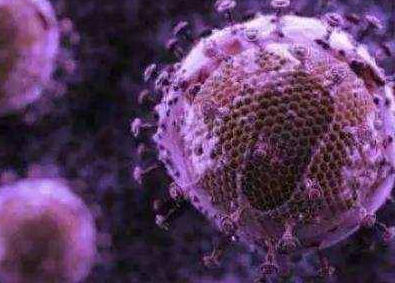 女人补硒能提供（补硒女性）-硒宝网