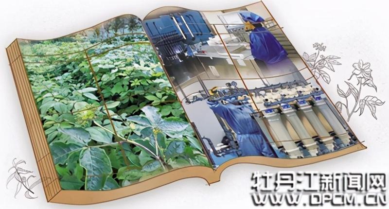 硒酵母胶囊补精（胶囊酵母补精硒好吗）-硒宝网