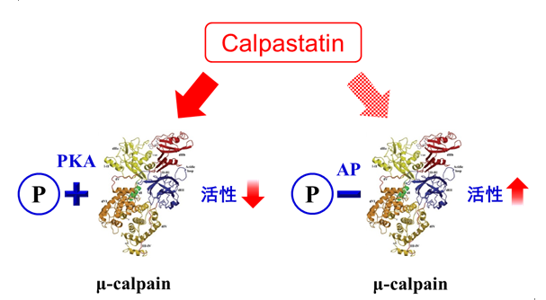 17岁孩子补硒（孩子补硒吃什么）-硒宝网